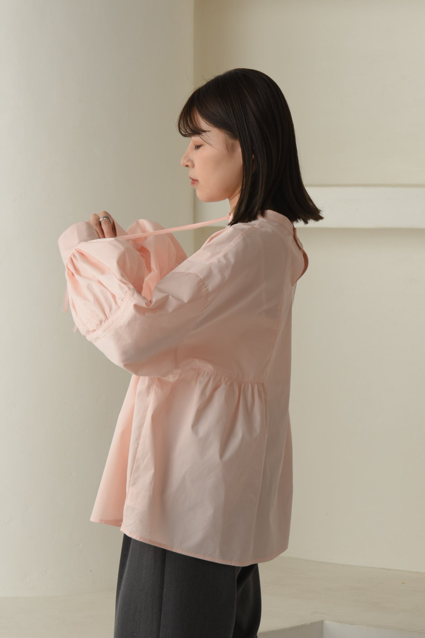 stand neck line design blouse【eim plus+限定アイテム】