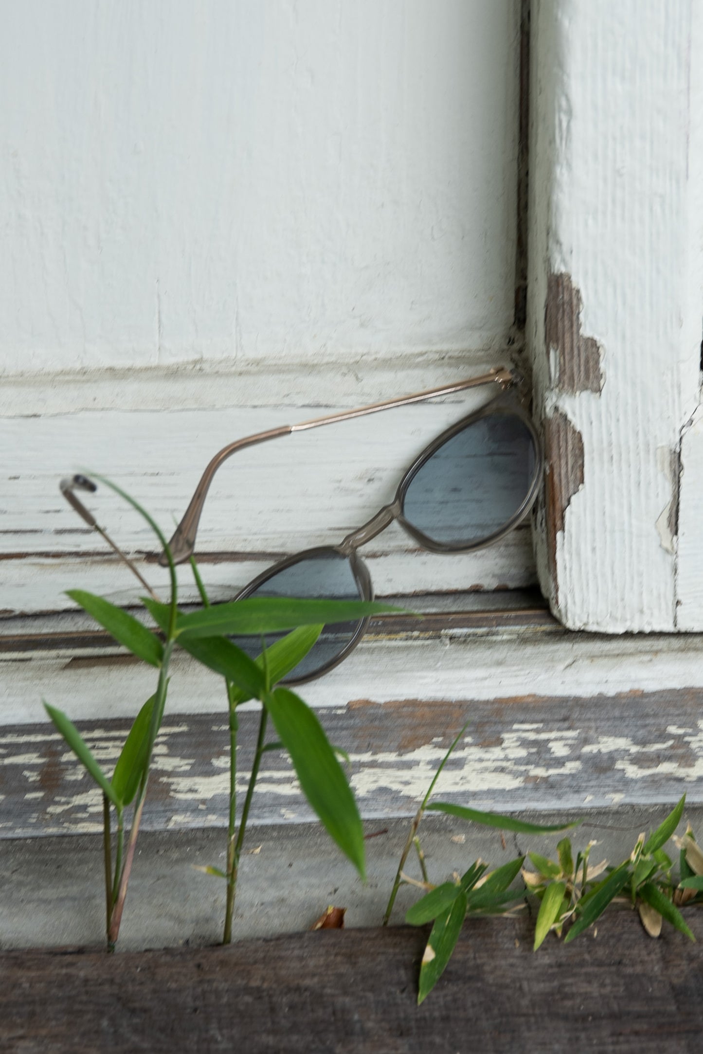 color boston frame sunglasses