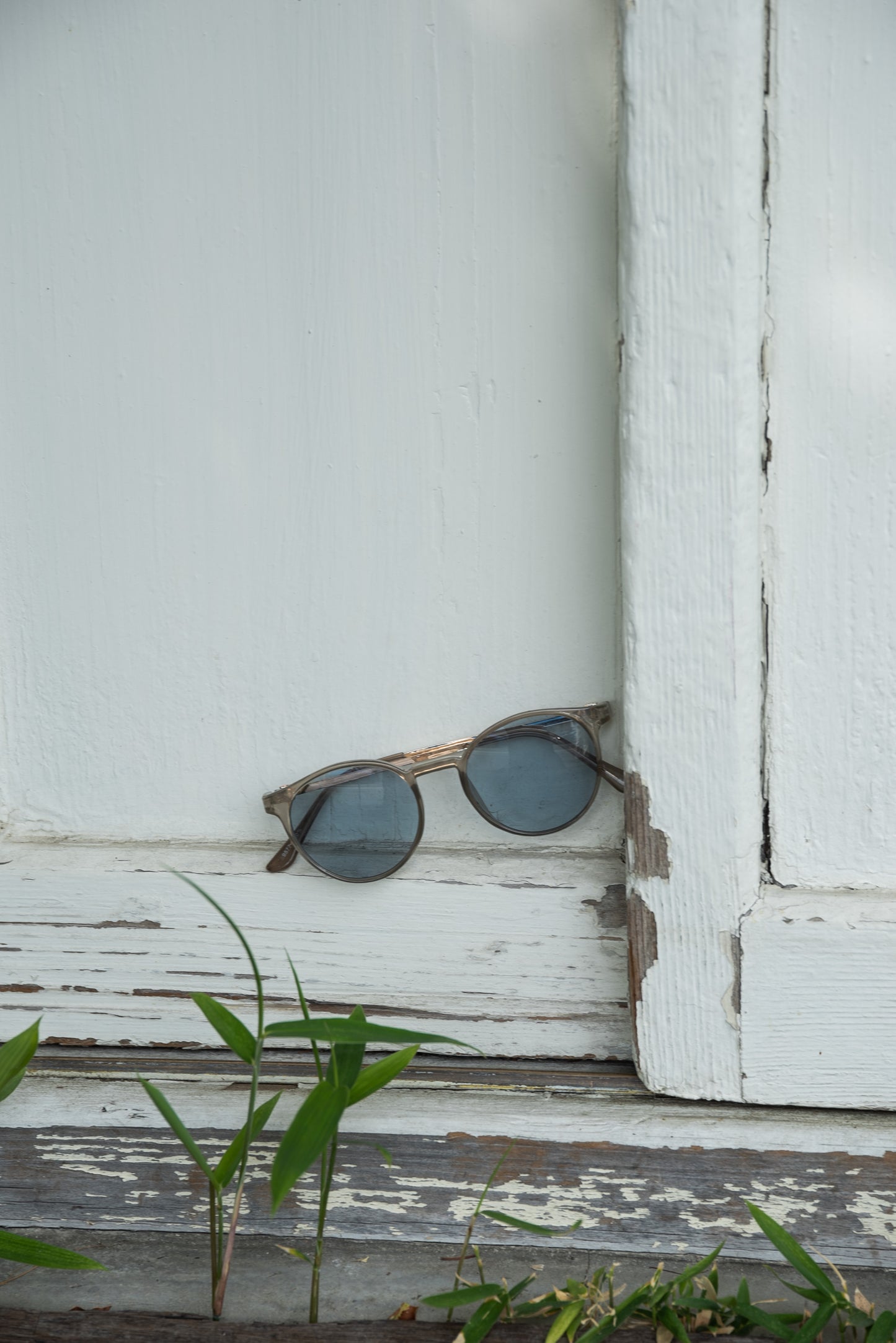 color boston frame sunglasses