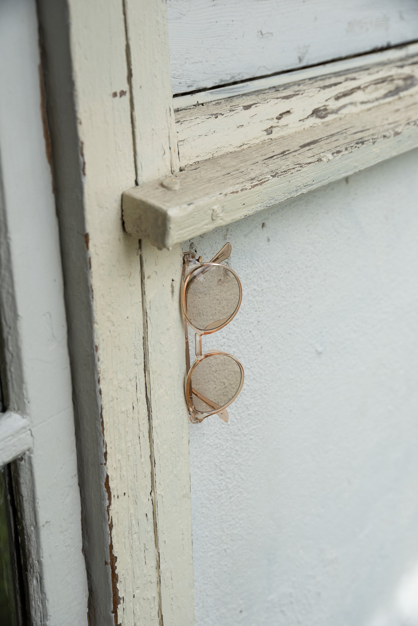 color boston frame sunglasses