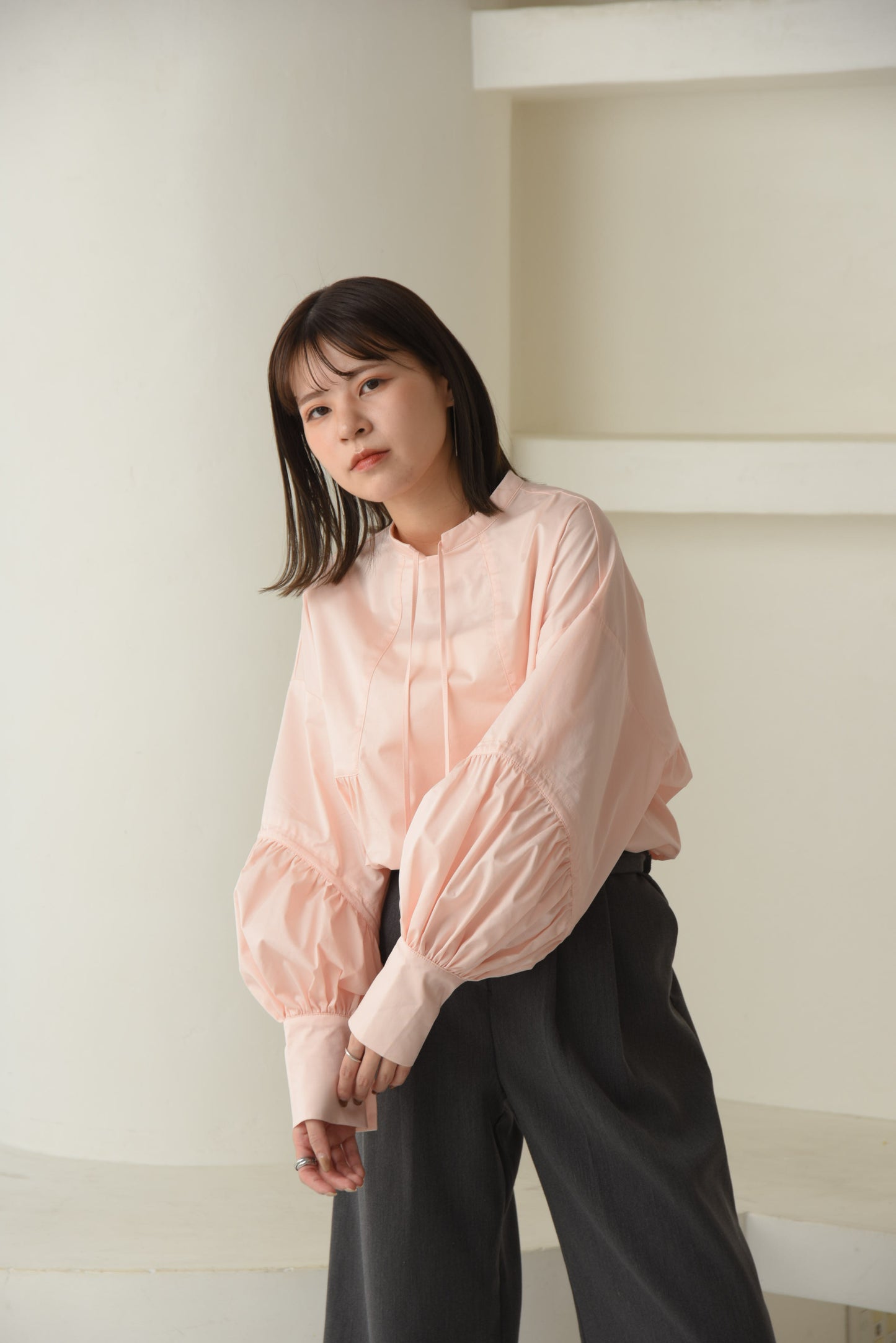 stand neck line design blouse【eim plus+限定アイテム】