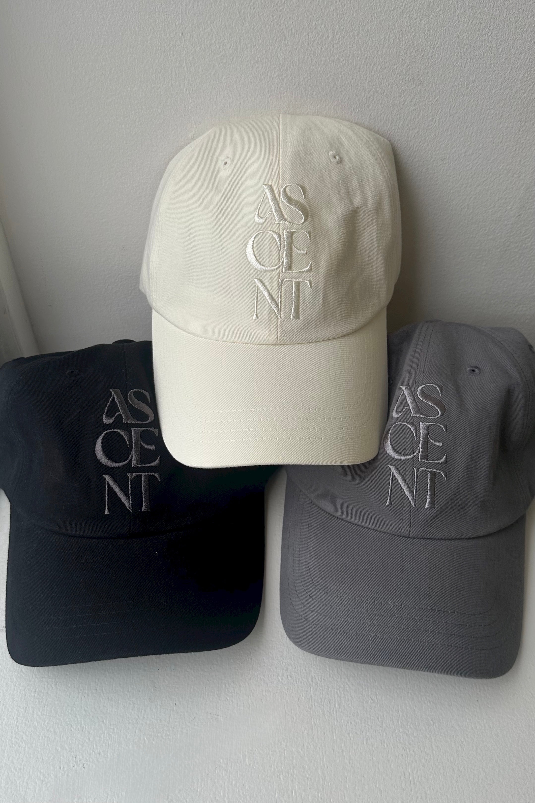 DimMoire ロゴ刺繍ダメージCAP ホワイト DimMoire ロゴ刺繍ダメージCAP ホワイト