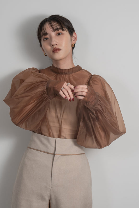 organdy volume sleeve blouse